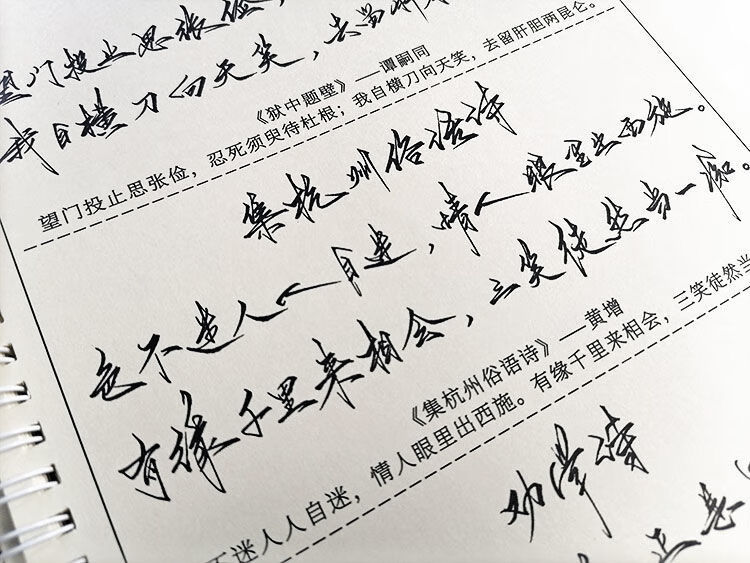 博鶴州古詩詞行草書法狂草字帖手寫體大學生鋼筆硬筆臨摹霸氣練字帖