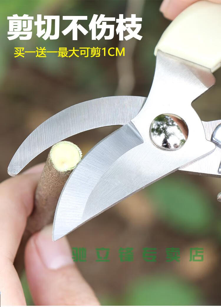 3c0c962c7f5775f2.jpg