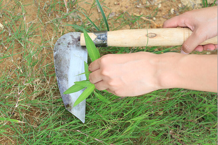 带柄小镰刀草刀割草刀割稻刀野营户外技术日本钢带柄免磨 铁柄小号免