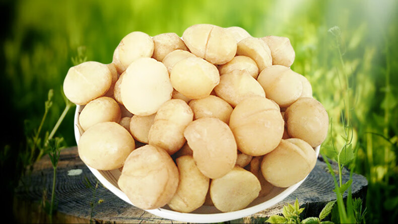 夏威夷果仁500克不带壳果肉奶油味袋装坚果炒货办公休闲零食小半片