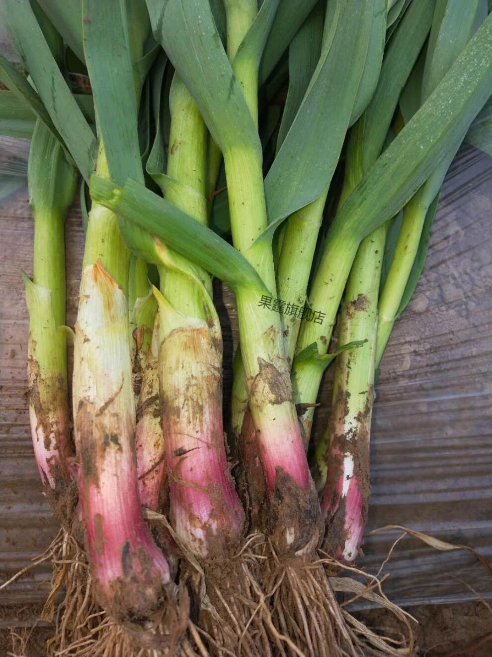 现挖新鲜青蒜苗红皮青梗蒜苗红根蒜苗本地蒜苗新鲜蔬菜2500g