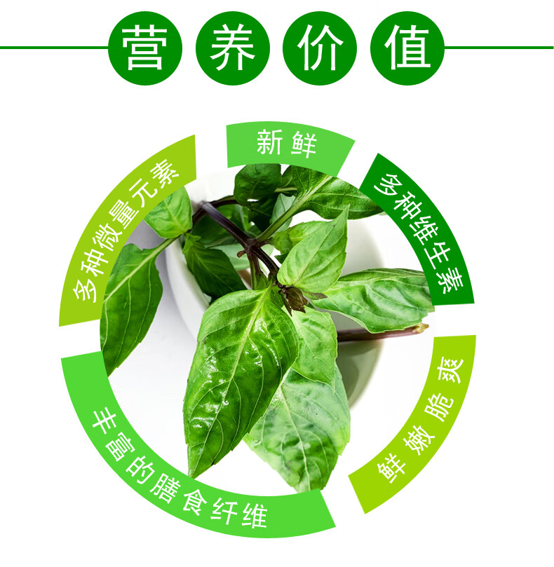 新鲜九层塔 金不换鱼香草 三杯鸡冬阴功厨房香料 500g