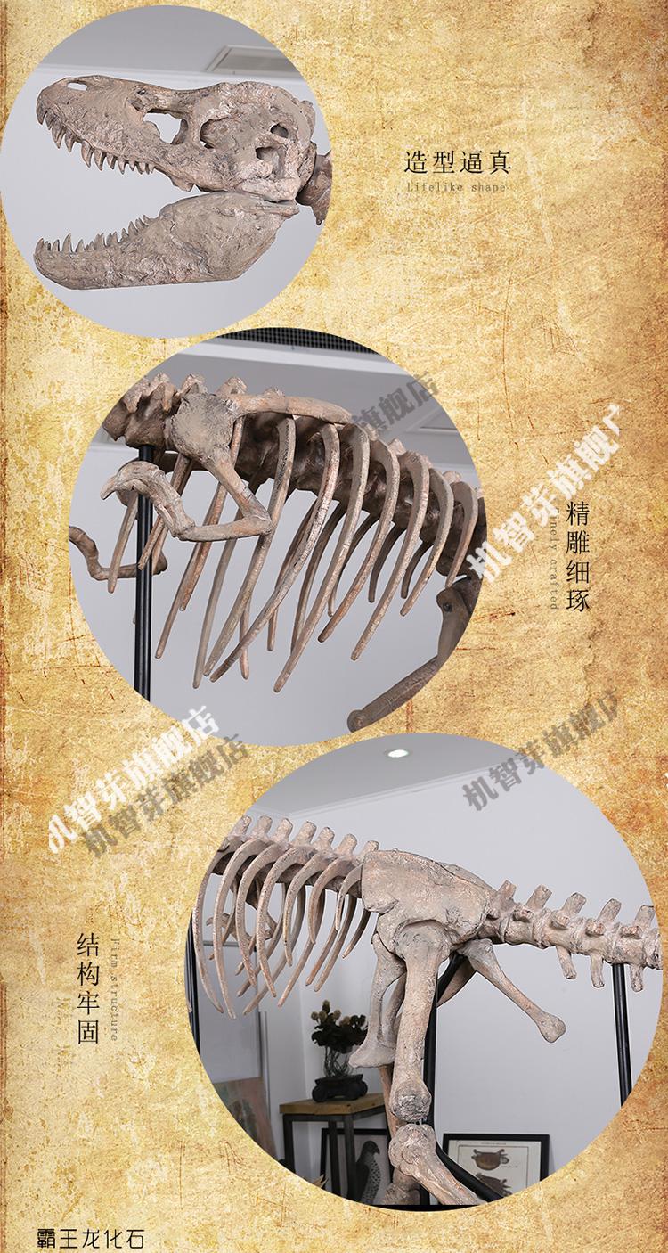 超大号骨架霸王龙化石大型骨架恐龙模型骨骼大型橱窗落地摆件博物馆