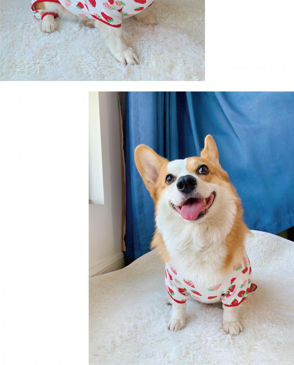 狗狗四脚衣可爱秋冬柯基衣服纯棉宠物服饰保暖防凉睡衣防掉毛红色小