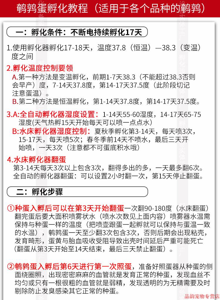 鹌鹑种蛋 鹌鹑蛋受精种蛋可孵化 受精种蛋孵化蛋新鲜鹌鹑蛋生蛋 10枚