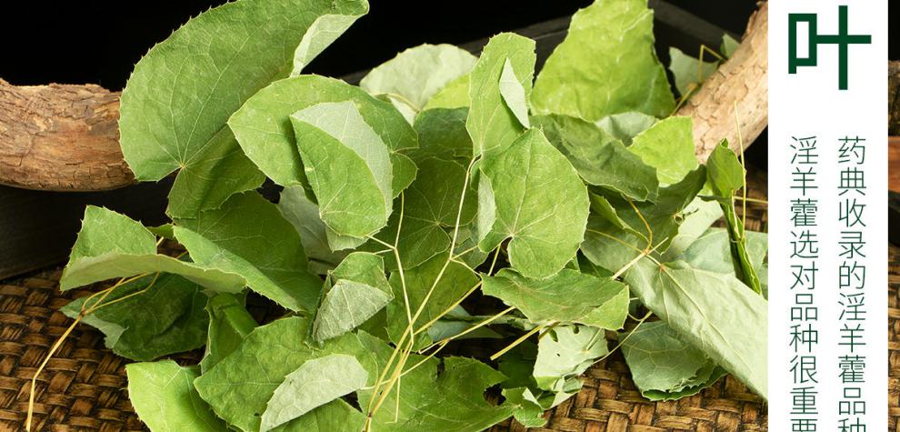 伟博官方秦岭中药材淫羊藿叶男性泡茶泡酒圆叶小叶羊淫藿仙灵脾淫羊霍