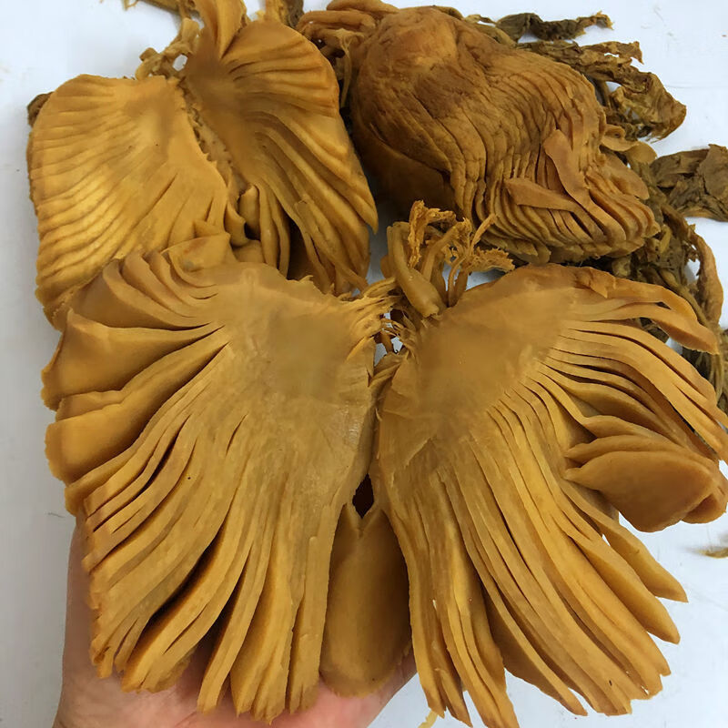 头菜广西小大头菜广东横县玉林淡口菜农下饭咸菜头菜2斤 特级头菜薯