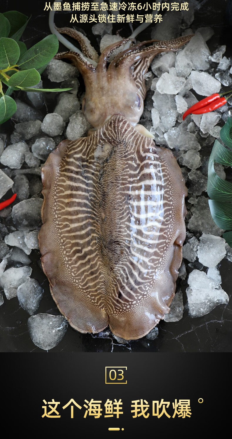 【jd物流】十里馋 大墨鱼 1500g/一只 新鲜目鱼八爪鱼 海鲜水产 3斤