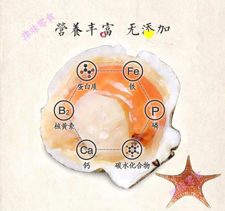 晨臻 舟山特产500g淡干大干贝宝宝食材新货瑶柱大贝柱海鲜干货 全干