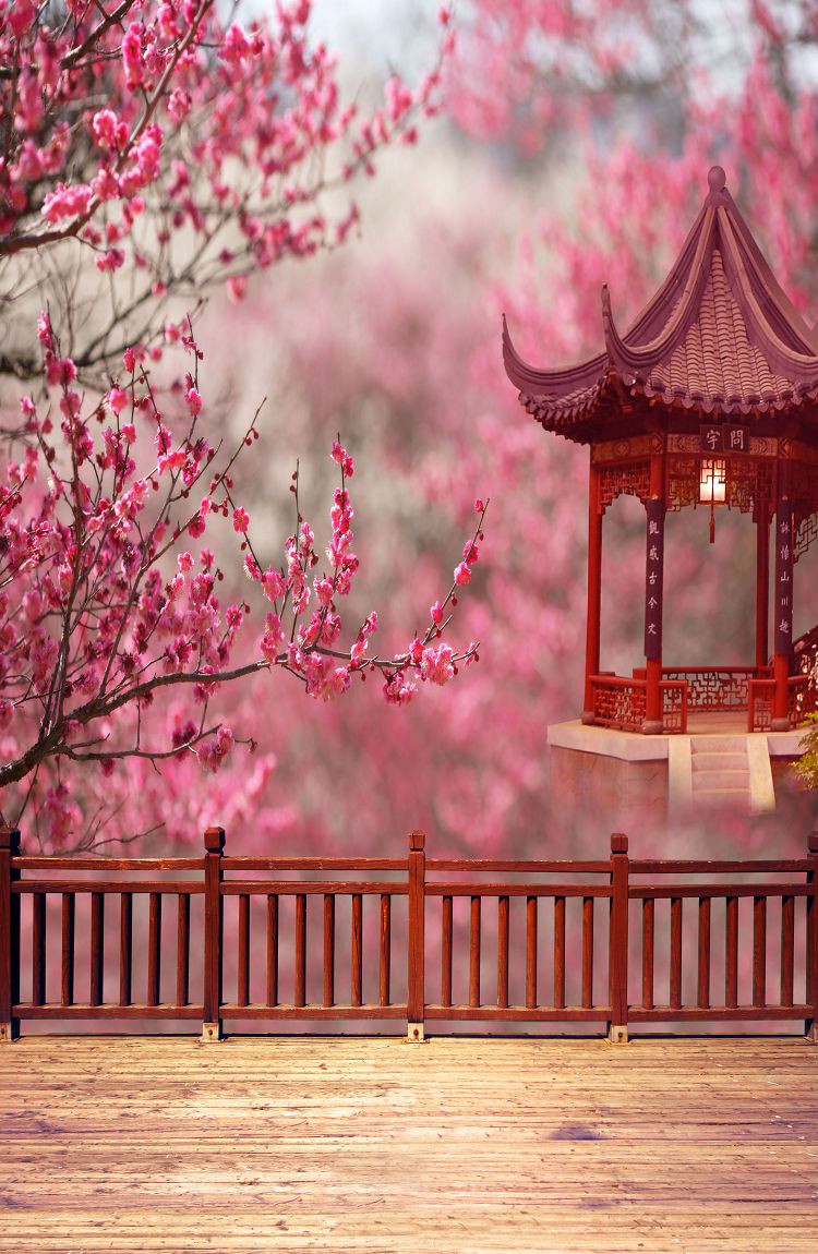 古风背景布古装背景摄影背景布全家福背景布直播背景布古筝直播tt67