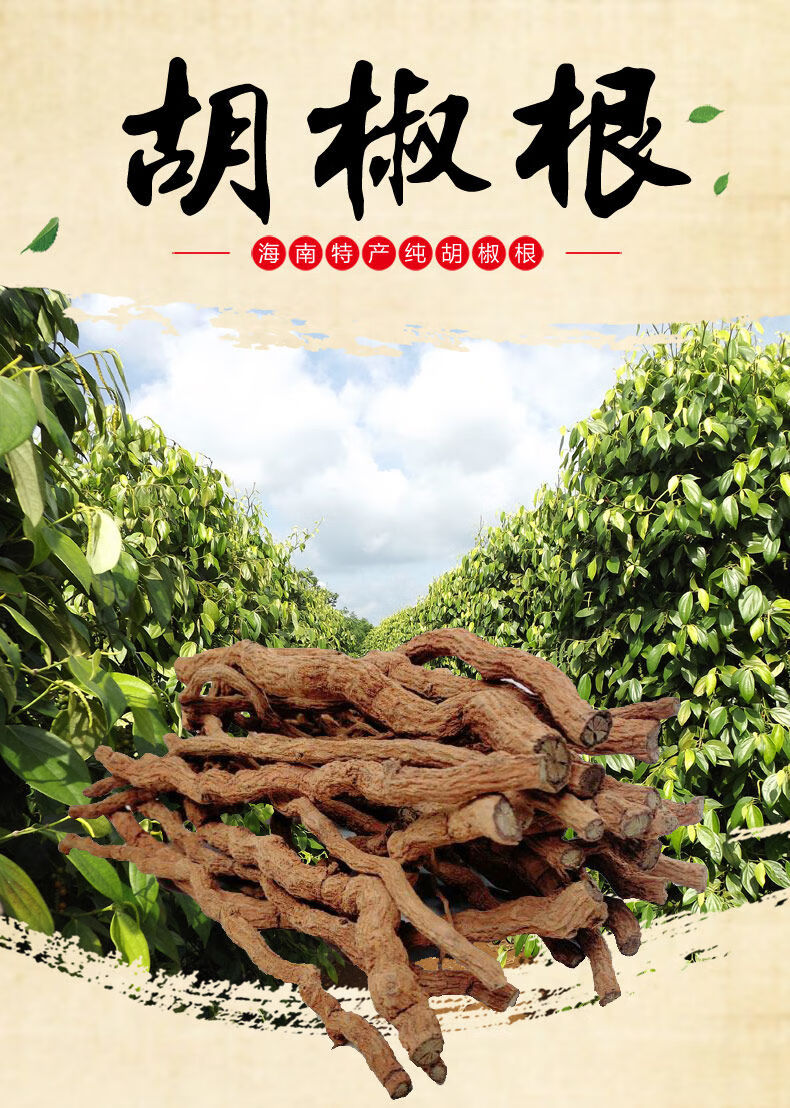 正宗海南胡椒根250g原生态煲汤炖汤料泡酒药材胡椒根纯根半斤装