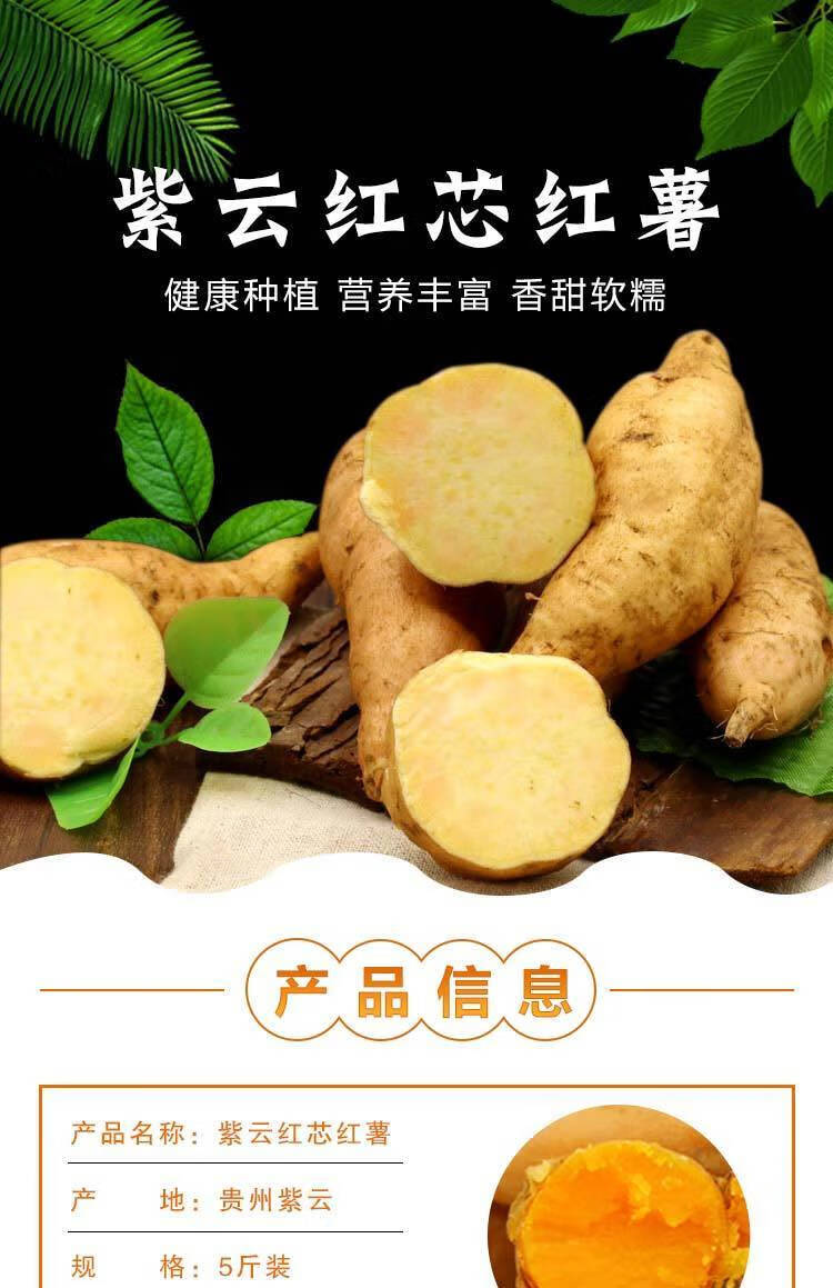 大薯孕妇可以食用吗图片