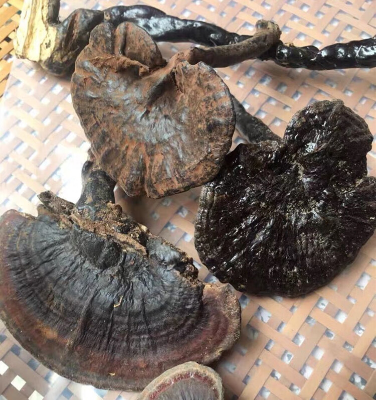 广西黑灵芝250g整枝特级黑林芝可切片紫灵芝孢子粉【图片 价格 品牌