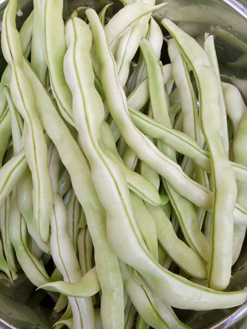 山东新鲜白芸豆角白不老老来少芸豆角5斤四季豆北方蔬菜应季云 5斤
