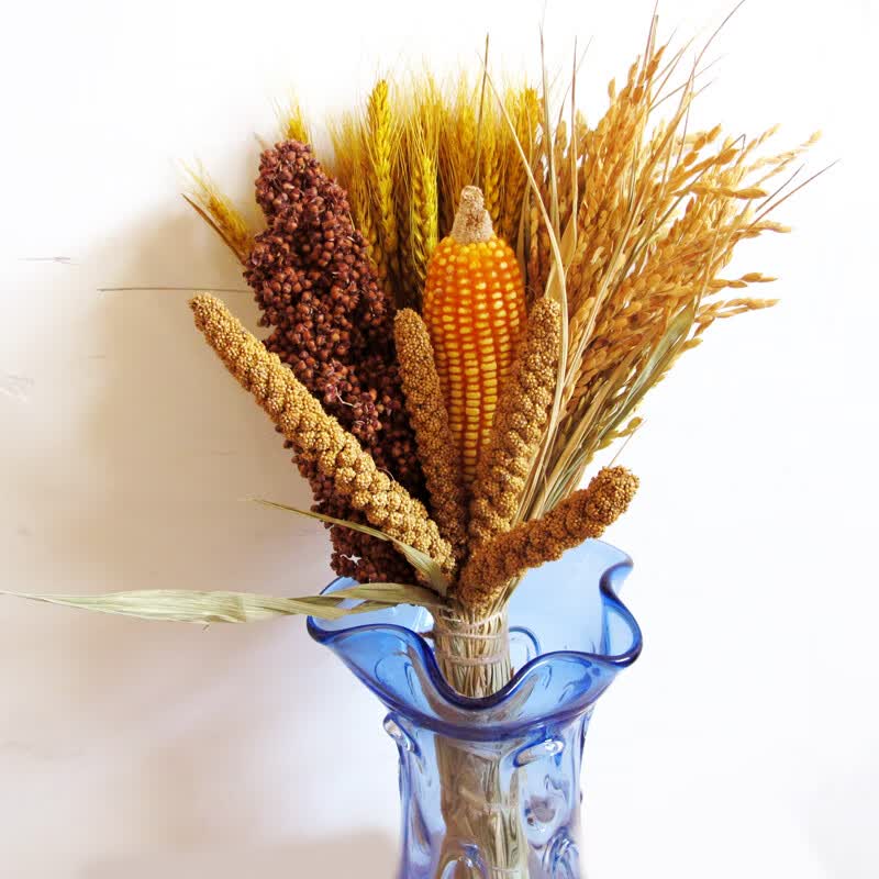 德骊嘉农家乐装饰五谷杂粮玉米挂件麦穗干花高粱田园农作物五谷丰登