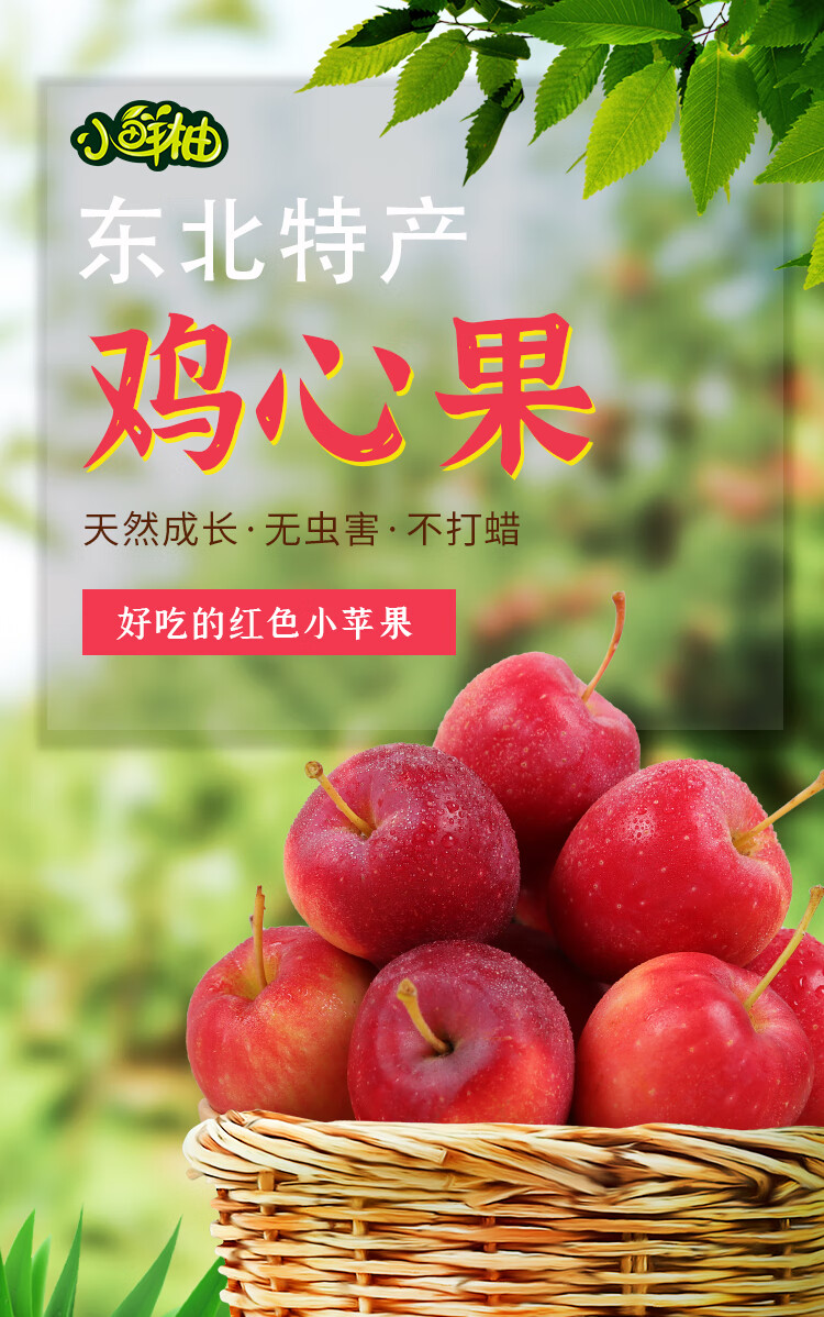贝娇芬 顺丰 东北鸡心果锦绣海棠香妃沙果小苹果塞外红特产水果 2斤