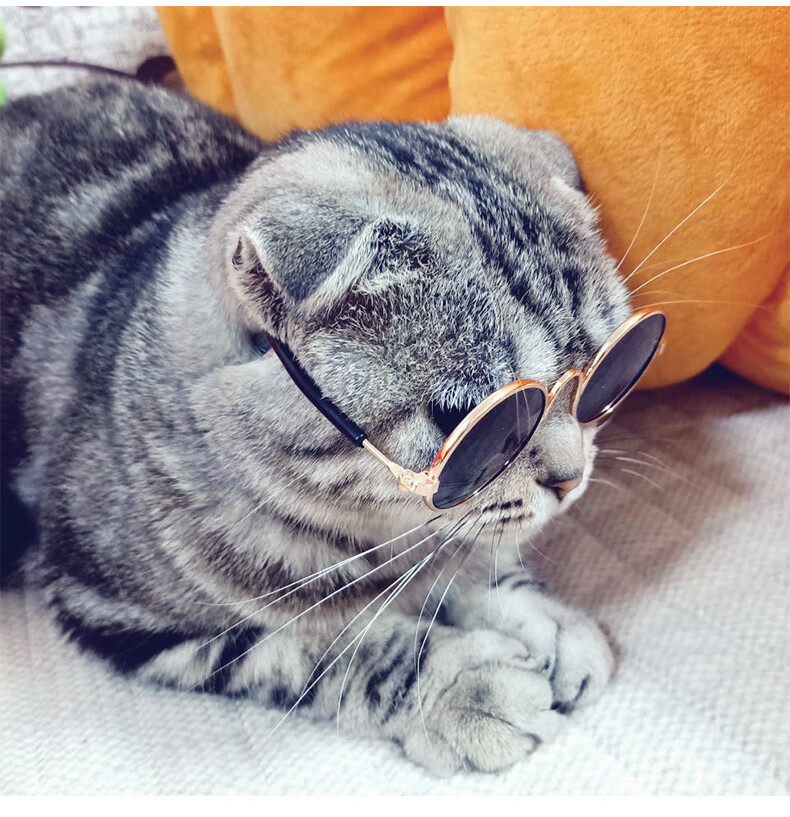 宠物猫眼镜猫咪墨镜复古酷猫搞怪拍照道具猫咪带的个性饰品小狗狗