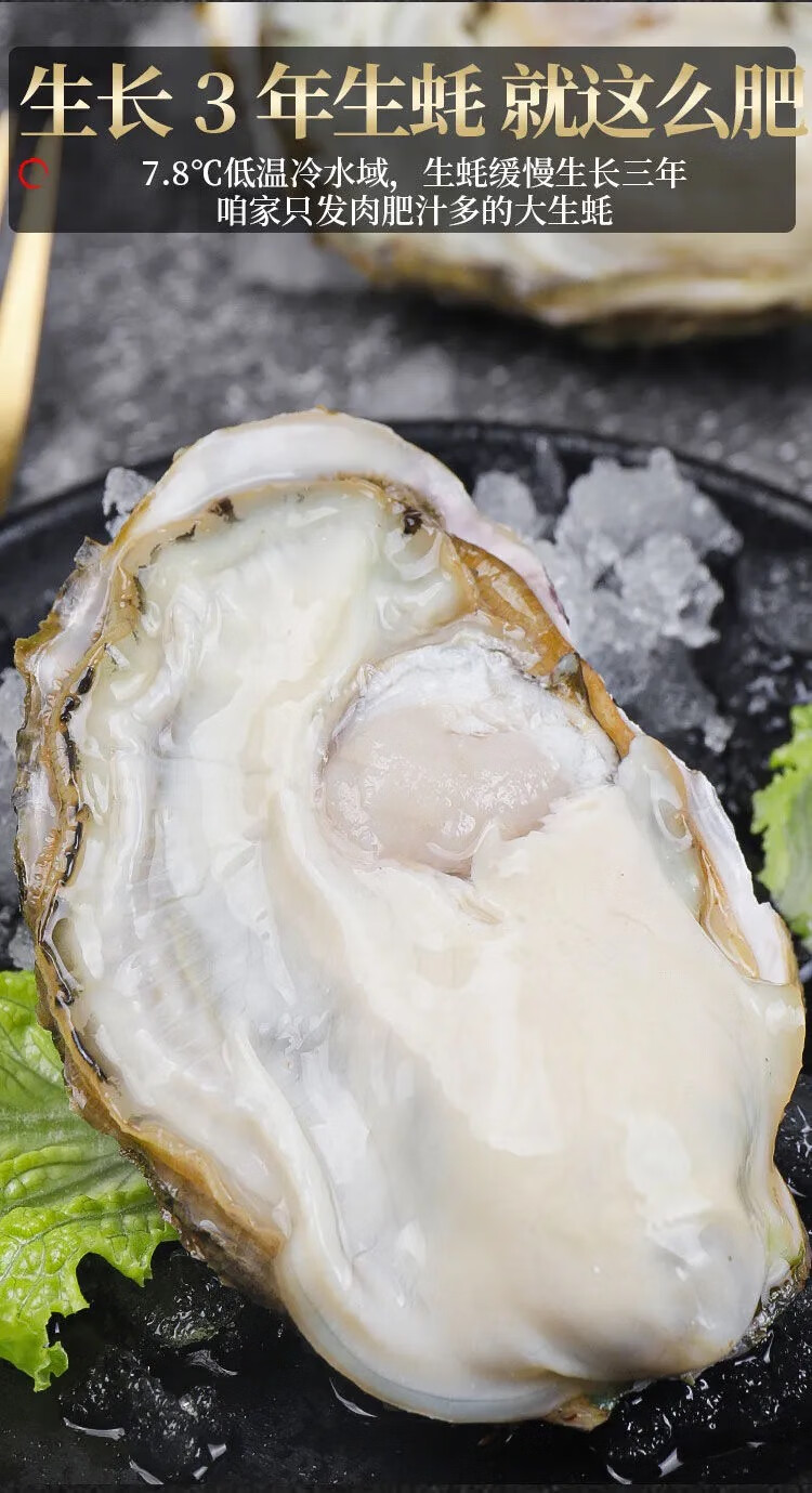 顺丰冷链乳山蚝王山东乳山刺身级生鲜活特大生蚝大牡蛎即食带壳海蛎子