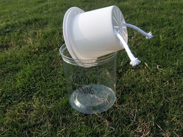 桌面盆栽自动吸水懒人花盆早安盆水培免浇灌可栽绿植多肉透明塑料白色