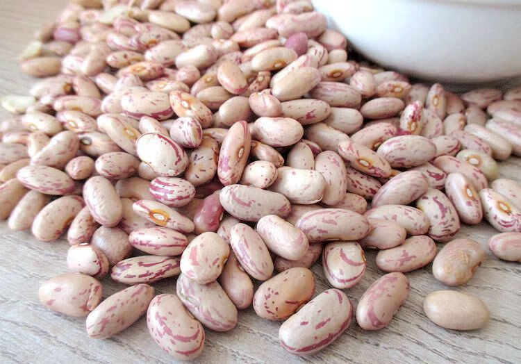 2021年新饭豆上市东北黑龙江花饭豆奶白花芸豆大碴粥豆做豆馅豆沙1斤