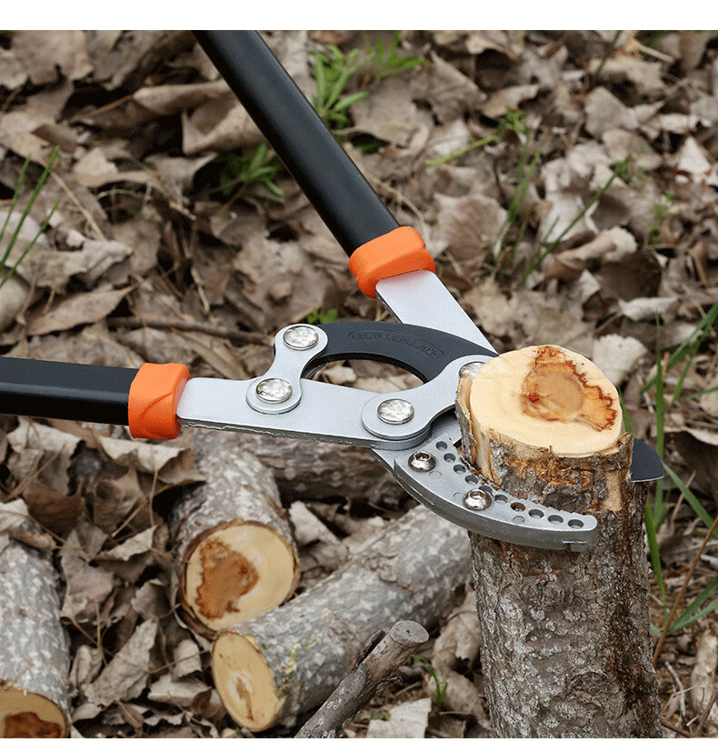 剪枝 剪 刀修 枝树枝园林强力省力果树长把加长高枝粗枝大 力高空