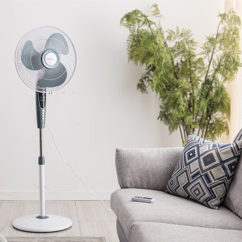 2022冠凌电风扇落地扇家用静音定时摇头大风力铁叶铜工业遥控风扇 16