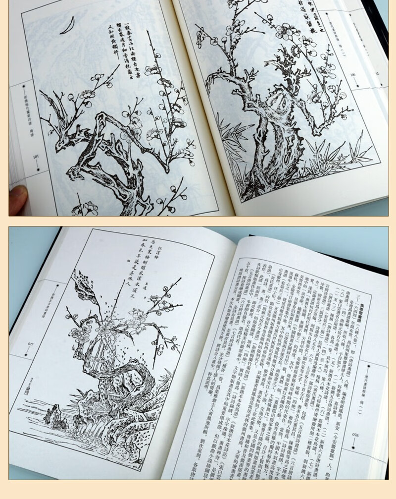 历代画谱类编梅15册梅花技法书籍梅花画赏析中国画画册临摹国画绘画