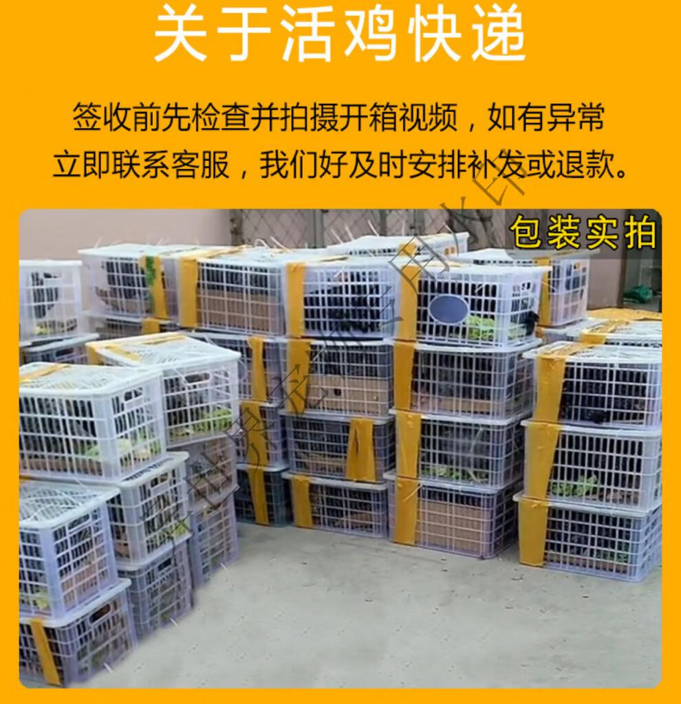 d428c6dc53211be5.jpg