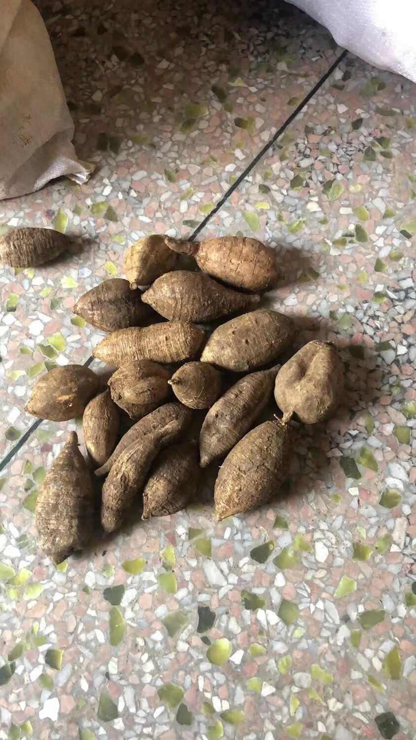 牛大力野生新鲜中药材现挖广东汤料500g特级大力薯根泡酒材料小黑牛