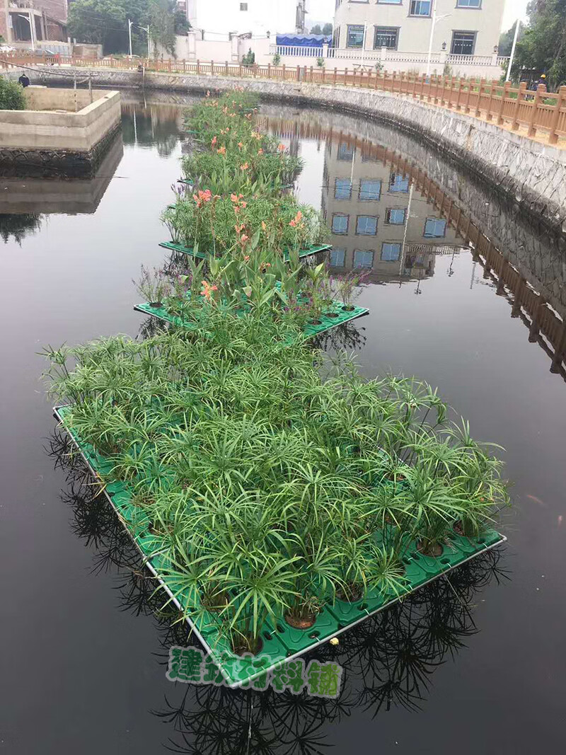 水生植树造景用生态浮床水上漂 人工制造浮岛水上园艺设计 定植篮
