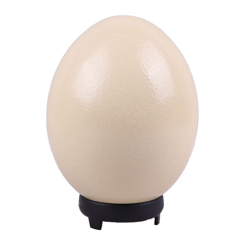 鸵鸟蛋 新鲜食用鸵鸟蛋大号蛋商务送礼下单开蛋器 1.