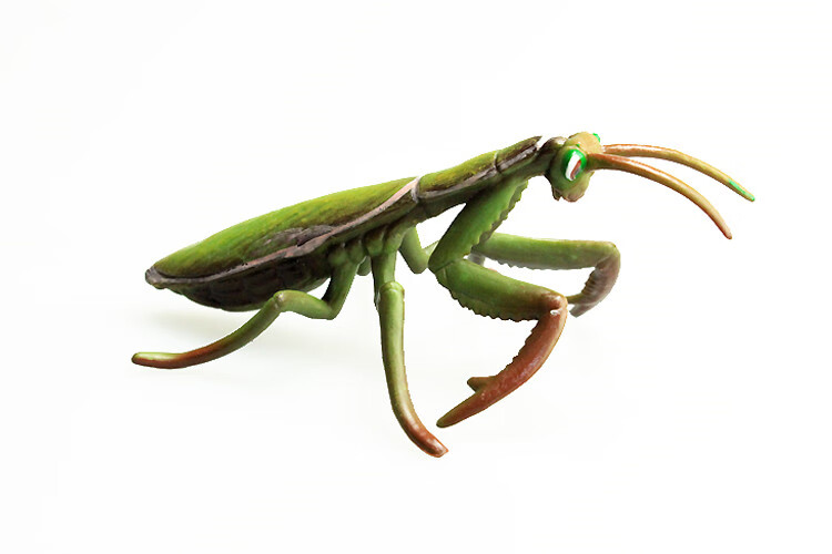 2020新款 儿童仿真昆虫动物模型玩具蜜蜂 独角仙 蝴蝶 草蜢 螳螂 七星