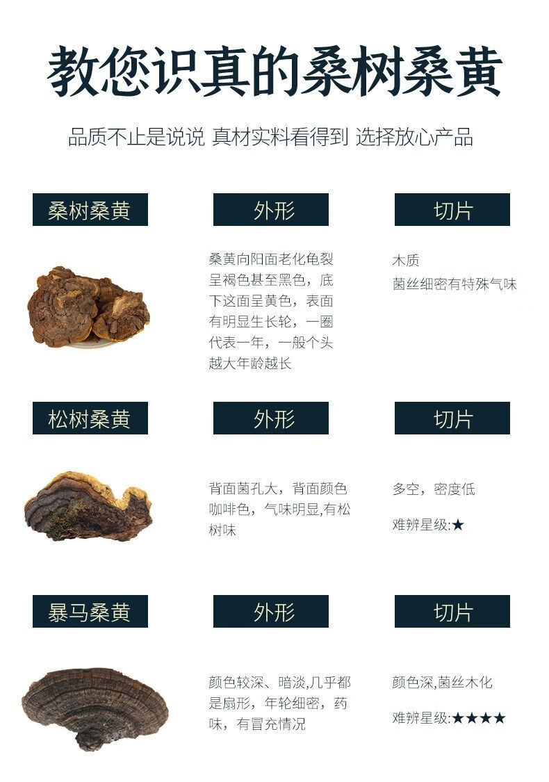 桑黄的用量图片