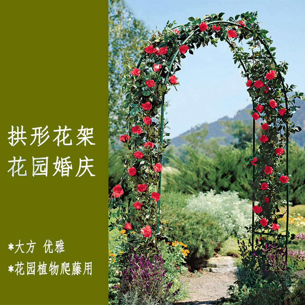 拱门花架爬藤架拱门架爬藤花架葡萄架子拱形花架子蔬菜园植物支架瓜果