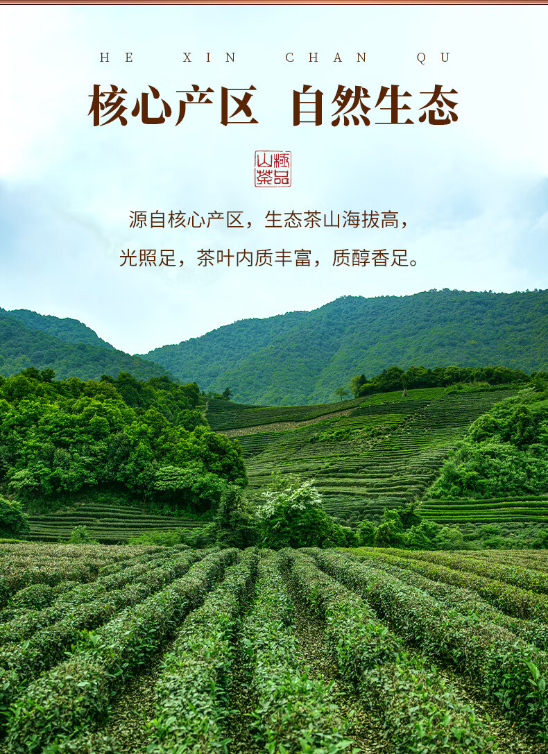 萃隐英红九号茶叶浓香型明前古树春茶英德红茶500g礼盒装