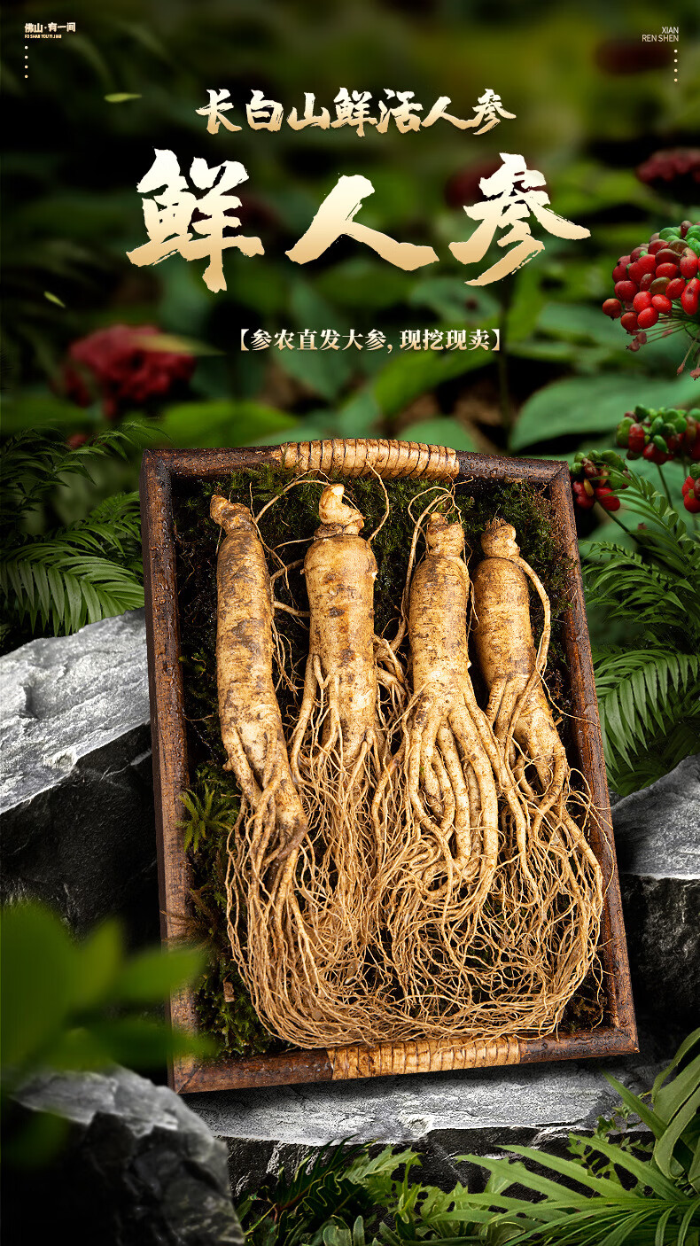 鲜人参东北长白山直发现货多规格新鲜人参 60～70克(8-7条)/斤【图片