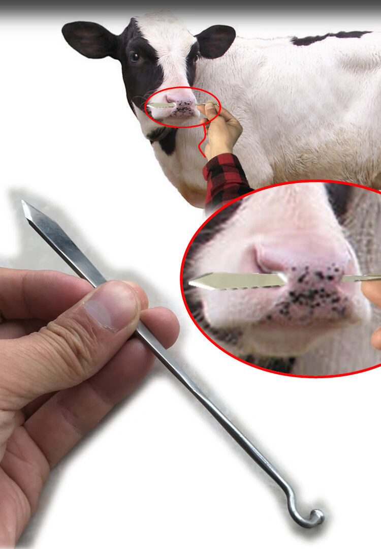 不锈钢牛鼻打孔刀扎孔工具牛鼻钳犊牛穿孔鼻孔牛鼻子打孔开孔刺孔 转