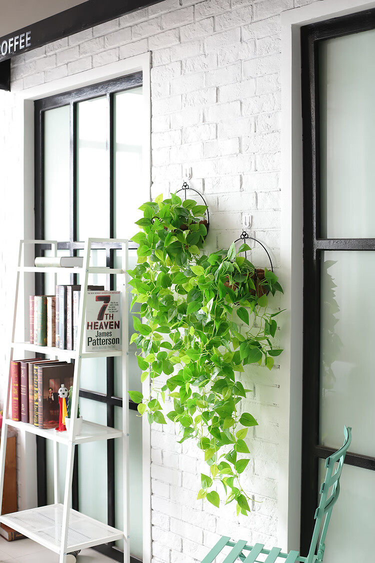 法漫玫仿真植物装饰假花盆栽垂吊墙面绿植吊篮吊兰室内悬挂藤条挂墙