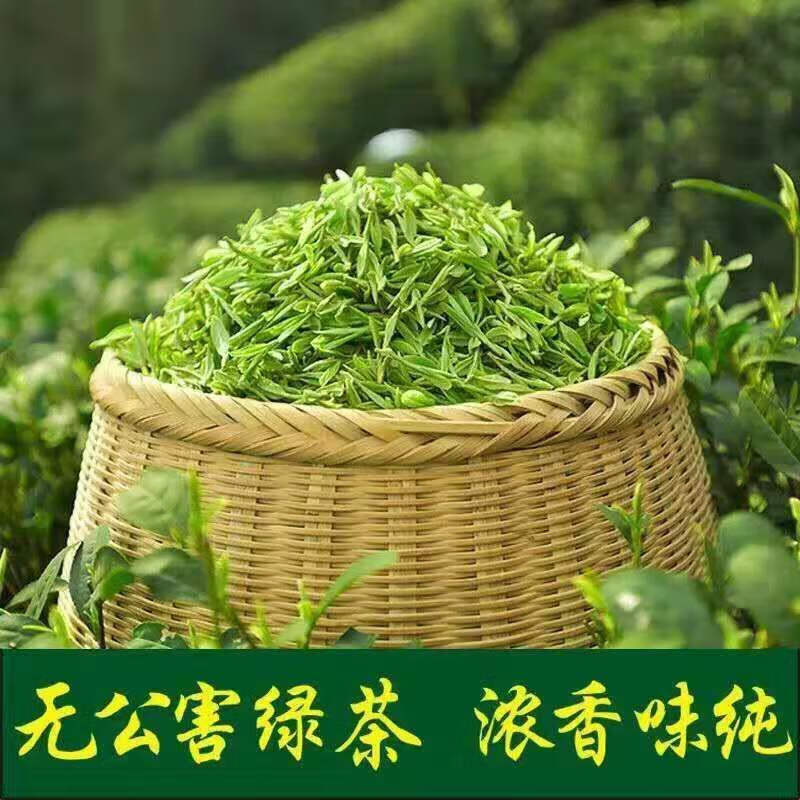 崂山绿茶2020新茶叶山东青岛日照散装浓香袋装高山特产茶毛尖豆香 100
