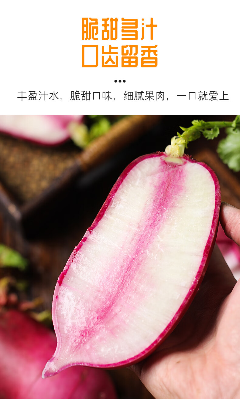 冰糖心水果萝卜甜脆水果型冰激淋9斤沙窝潍坊潍县新鲜正宗生吃3斤