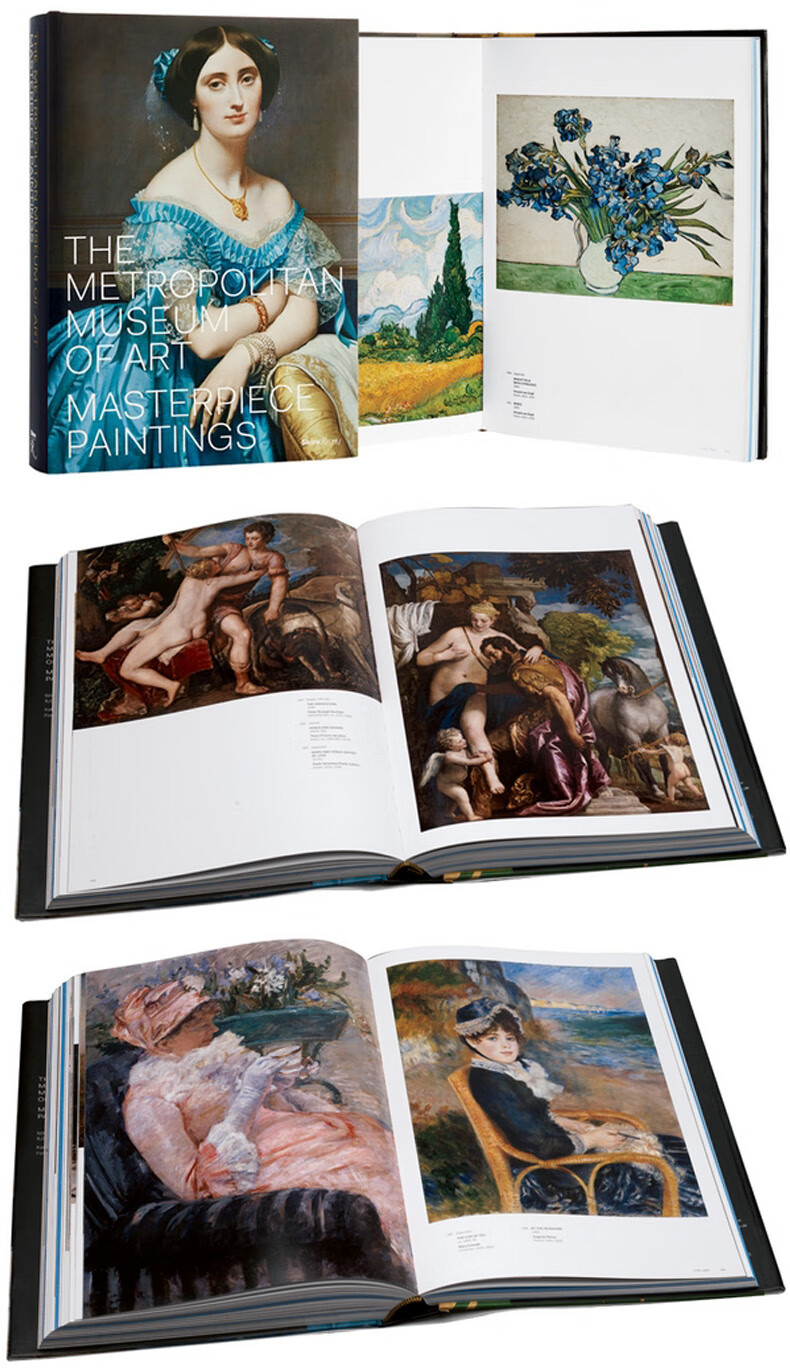 the metropolitan museum of art纽约大都会博物馆 英文艺术画集