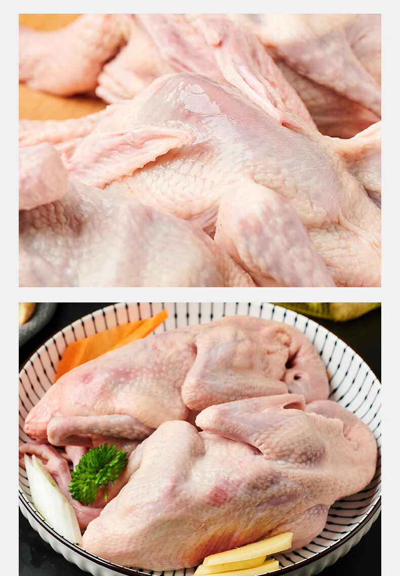 【6只】鸽子肉乳鸽土鸽子农家散养老鸽子杂粮喂养煲汤 恺蒂鲜 3只乳鸽