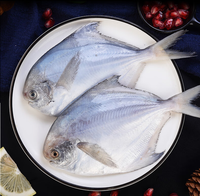 磐闕 新鮮海捕銀鯧魚 鮮活冷凍白鯧魚平魚鏡魚水產海鮮 深海鯧魚無刺