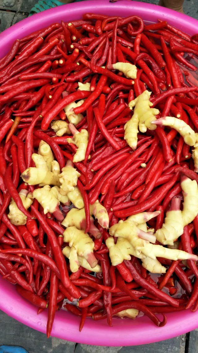 贵州黔东南特产农家妈妈自做手工酸辣椒酸广椒泛广椒糟辣3斤