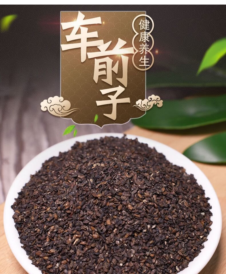 中药车前子茶江西车前子粉车前籽新货店铺药材大全有仁堂 车前子250克