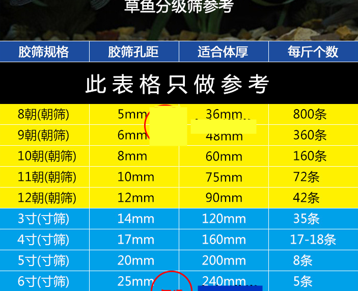 塑料鱼筛鱼苗苗种黄颡鱼泥鳅龙虾对虾大小分级塑胶筛子分选分拣筛 7寸