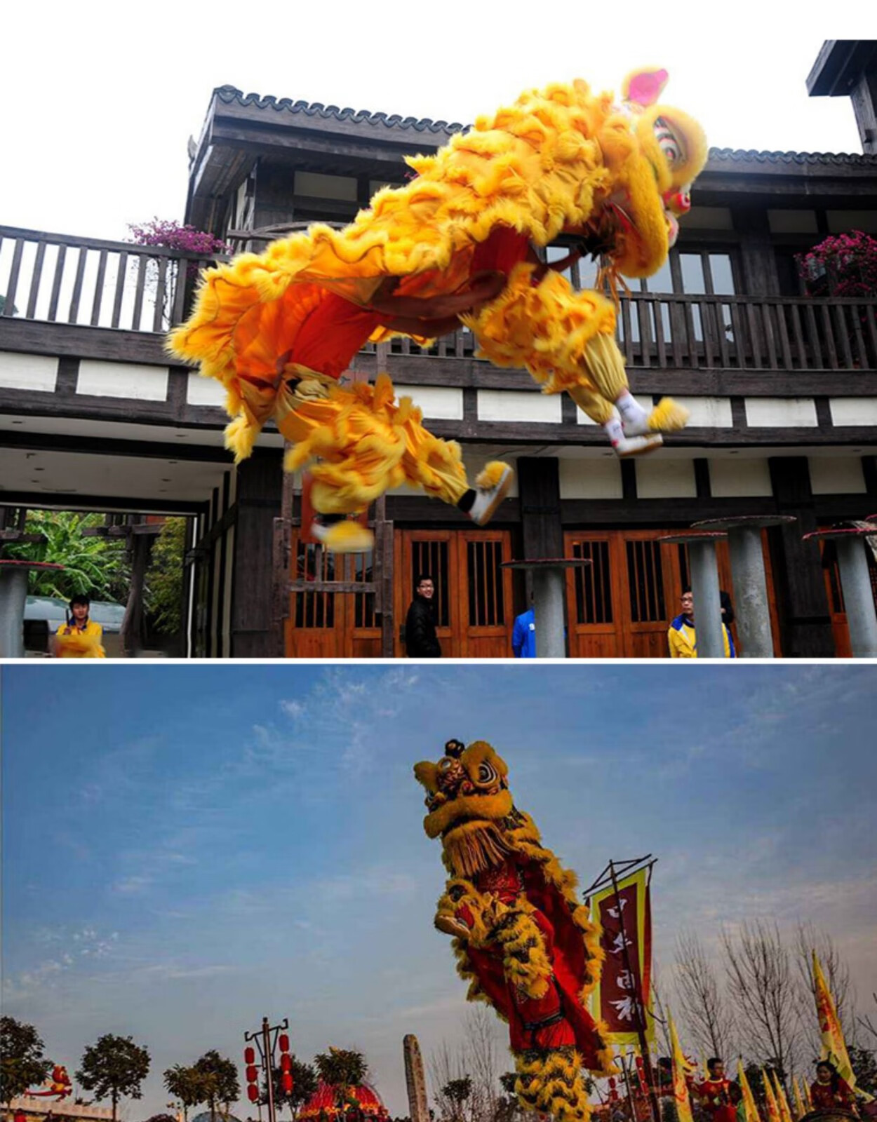 舞狮羊毛南狮醒狮舞龙舞狮道具佛山狮舞狮道具整套成人双人全套舞龙