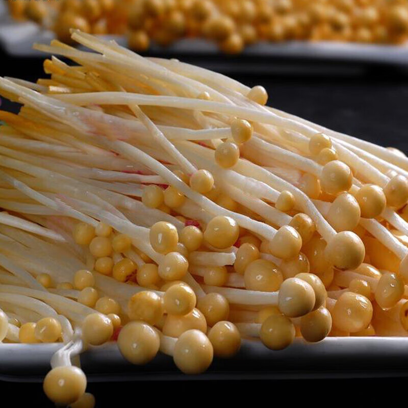 黄色金针菇新鲜火锅食材新鲜火锅配菜新鲜绿色蔬菜生黄色金针菇150g