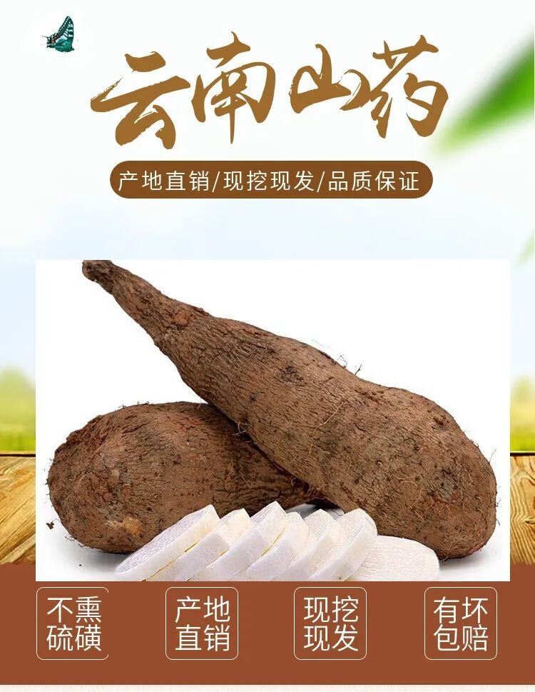 云南糯米山药金秤砣山药口感粉糯非铁棍淮山药脚板薯大薯蔬菜 小山药5