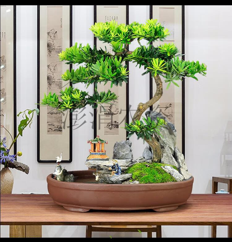 迎客松盆景真树罗汉松植物造型老桩庭院假山盆景室内客厅办公室大型